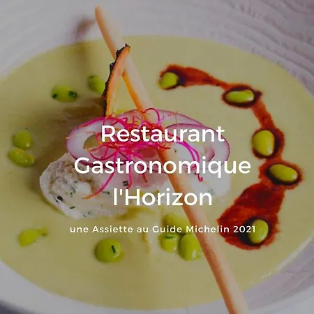 Hotel Grand Les Flamants Roses Thalasso &